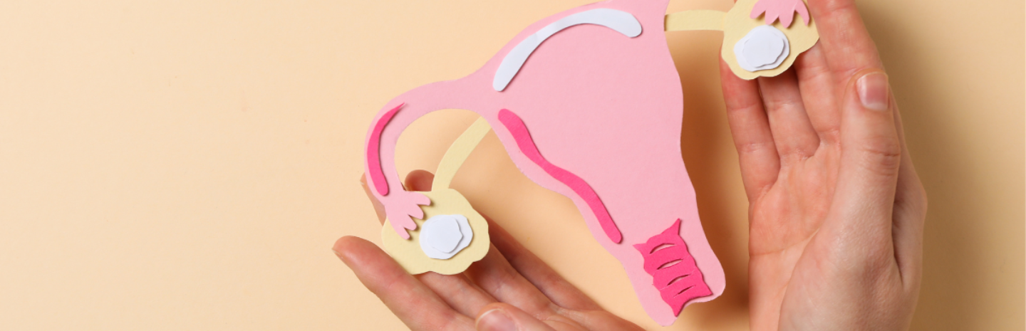 Menstruation 101: Your Go-To Guide For Periods