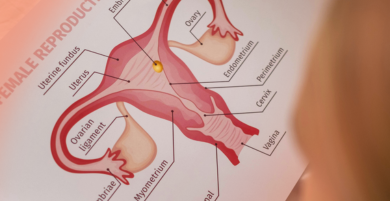 The Ultimate Guide To The Vulva And Vagina