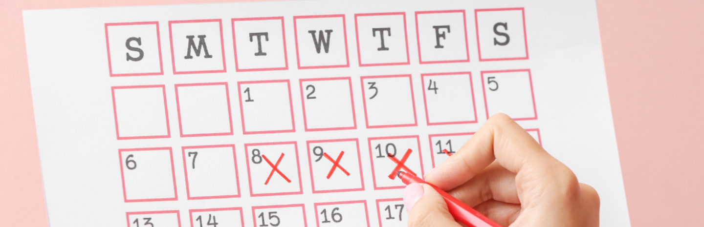 Unpacking Your Period: The Menstrual Cycle's Phases