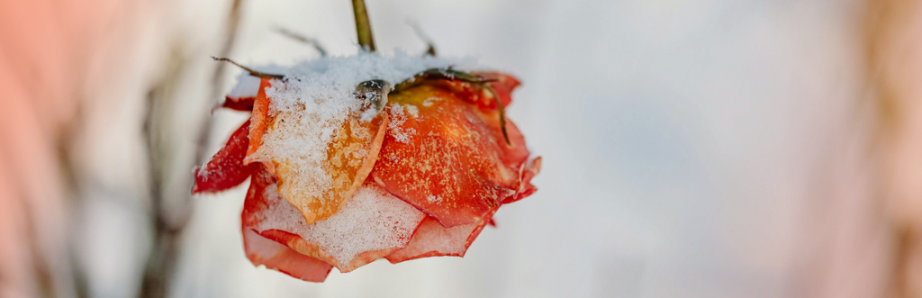 Do Seasons Affect Your Period Cycle?