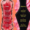 Modal Period Panty/Mid-Rise | Blush Lotus