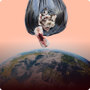 How Do Pads Impact The Planet?
